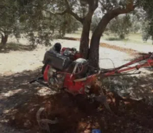 عزاقه سبعه حصان للبيع