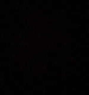 محمد 
