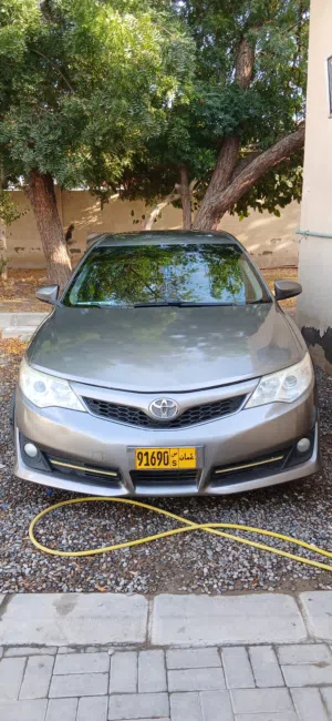 camery 2014 for sale