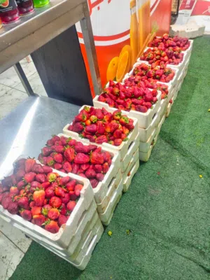 كافتيريا صغيرة بحاجة لموظف