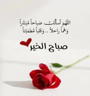 Mohsen Hammad TRADING