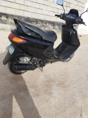 دراجه فراشه فحل للبيع