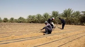 Farm . Monthly . 3200 m20