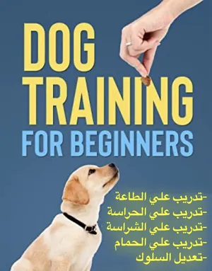 Training And Taming . Dog Training3