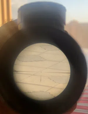 للبيع دوربيل ياباني اصلي