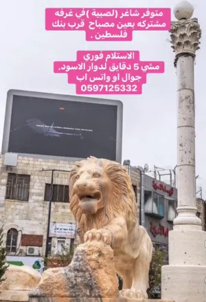 متوفر مجال لبنت في غرفة مشتركة عين مصباح -قريبة على بنك فلسطين الاجره 500 شيكل شامل مي وانترنت