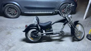 E bike very rare out of market 1/1