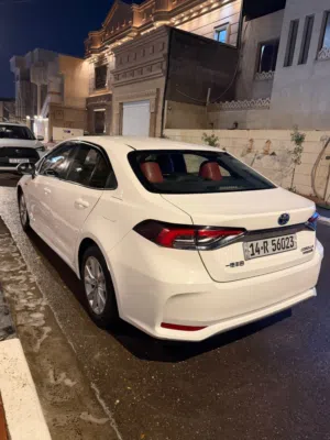 كورلا هايبرد 2023 حره