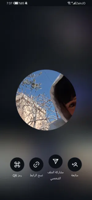 كرم lلشيخه 