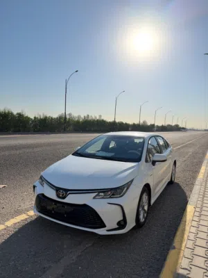 New Toyota Corolla in Basra