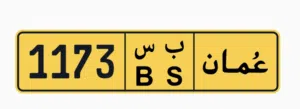 رقم مميز 1173