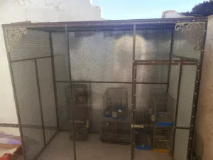 مطير حجم كبير