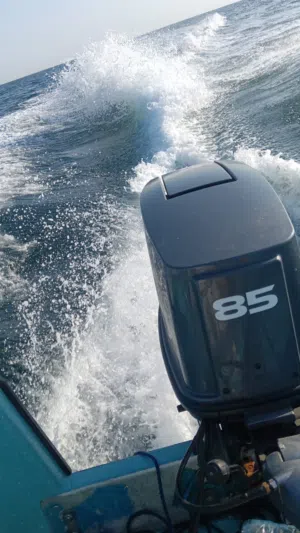 مطلوب مكينة 85 ياماها جديد بالكرتون