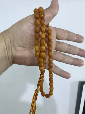 كهرب بولوني حر