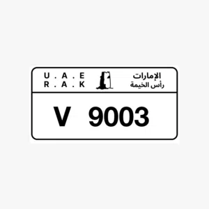 للبيع لوحه رأس الخيمه 9003 كود v