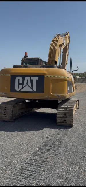 Caterpillar 320 2010