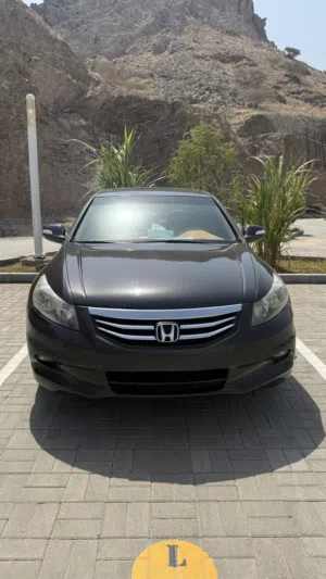 Used Honda Accord in Muscat