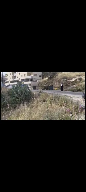 ‏سكنية ‏.‏ 10112 م٢ ‏.‏ الوسيط‏1