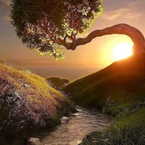 Salah AL Najjar AL Najjar AL Najjar