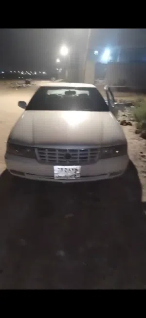 كاتلاك أمريكي
