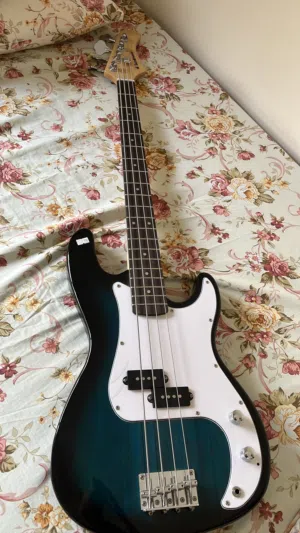 Bass sundamann with amplifier