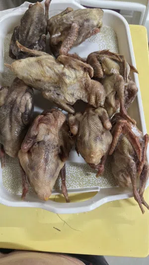 حمام مصري بدون حشو