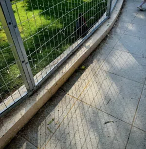 محمد الشريف 