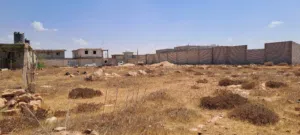 قطعه ارض للبيع
