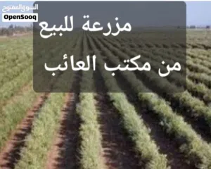 30 هكتار ولاية زغوان للبيع