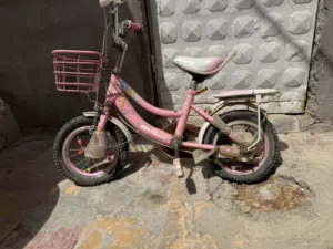 بايسكل حجم 12