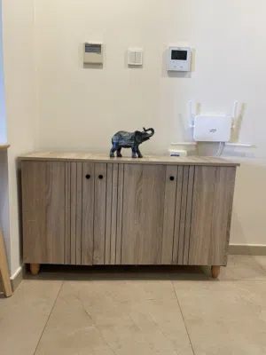 Shoe racks and cabinet
