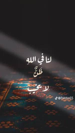 محمد العمري 