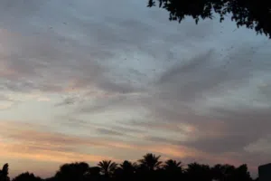 علاء 