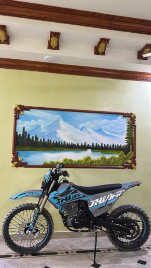 RMX 250CC/2025