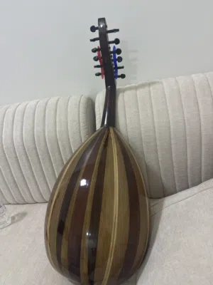 عود مصري احترافي ب45نهايه