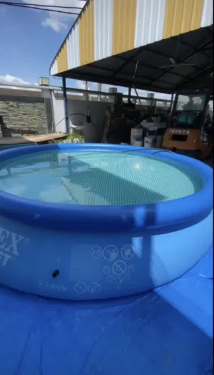 مسبح حلقة دائري