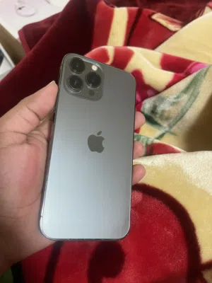 iPhone 13 Pro Max 256GB memory display and camera change but working good