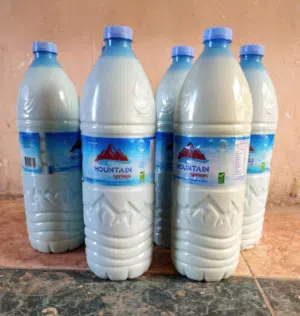 حليب بقر طازج