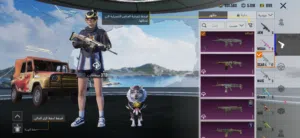 حساب ببجي للبيع مميز و سعر رخيص