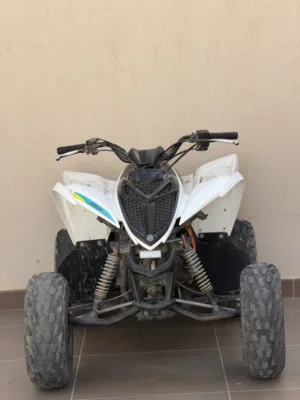 رابتر اصلي