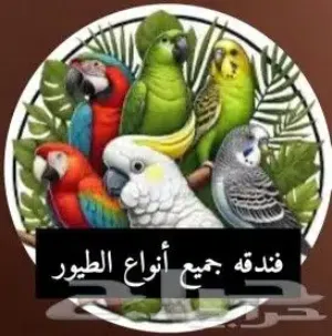 فندقه استقبال طيور