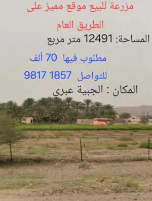 Farm Land for Sale in Al Dhahirah Ibri