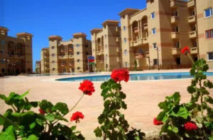 3 Bedrooms Farms for Sale in Alexandria North Coast