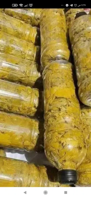 ورق عنب مرتب جاهز للطبخ