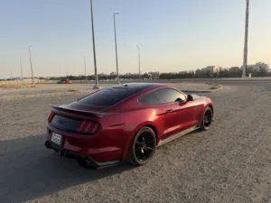موستنج 2017 تحت الكفالة صبغ وكالة 5.0