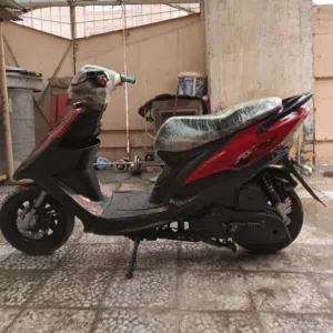 محمد 