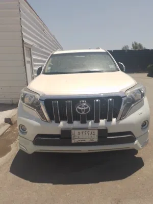 Toyota . Prado . Daily1