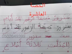 مدرس خصوصي خبرة في التأسيس عربي و انجليزي و خبرة في الرياضيات والفيزياء