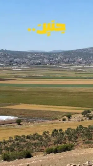 Farm Land for Sale in Jenin Manshiya