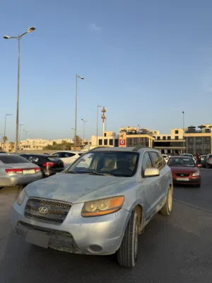 سنتافي 2008
